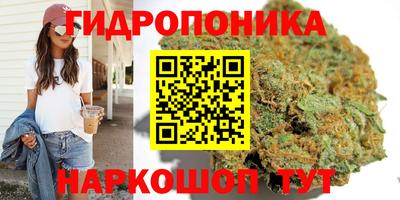 spice Заволжье
