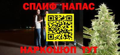spice Заволжье