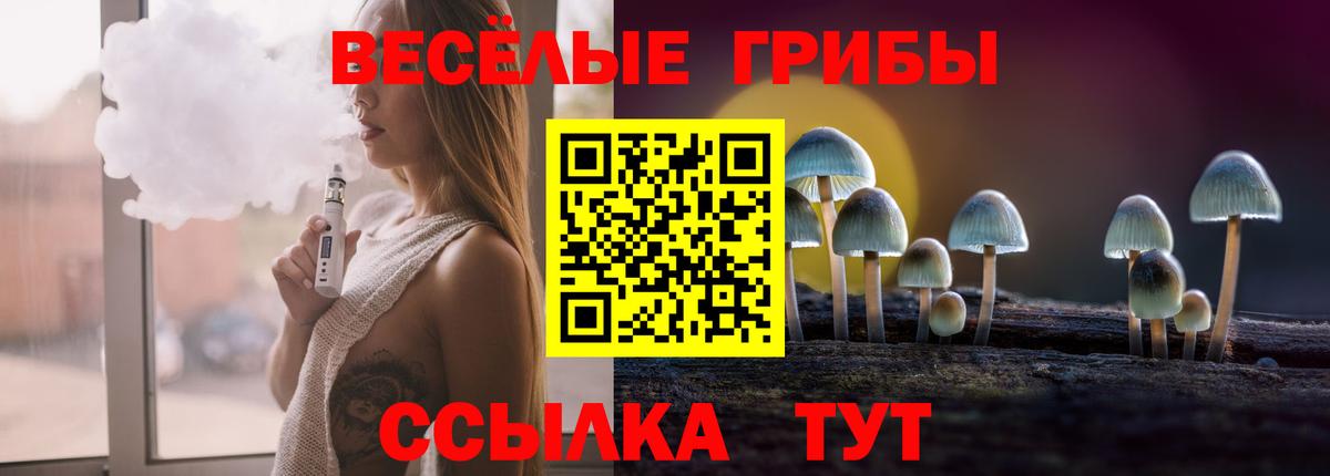 Псилоцибиновые грибы Psilocybe  Галлюциногенные грибы мицелий  наркота  Горячий Ключ  Вход с VPN 